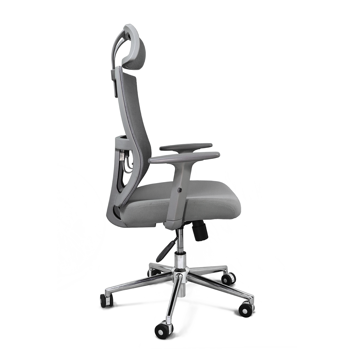 Athenas con Cabecera